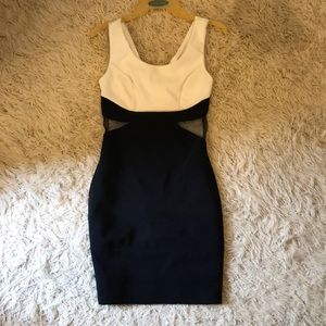 WHITE AND BLACK BODY CON
